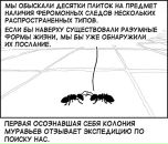 В В фотография #8 (источник - https://vk.com/id45452611)