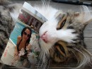 Оля Гущина фотография #10 (источник - https://vk.com/id57684516)