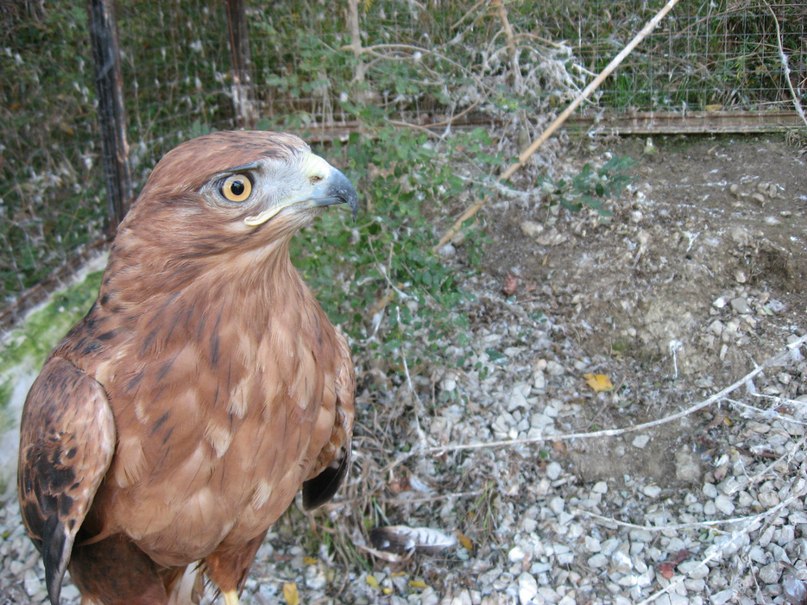 Коля Приходько фотография #20