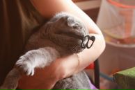 Фотография Соколовой Катерины