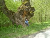 Віталій Рибак фотография #48 (источник - https://vk.com/id125765246)