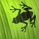 Віталій Плакса фотография #21 (источник - https://vk.com/id22227910)