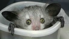 Фотография Смирновой Екатерины