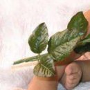 Лілія Левко фотография #20 (источник - https://vk.com/id144368814)