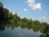 Ігор Греля фотография #31 (источник - https://vk.com/id30835801)