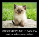 Vladlena Moskalenko фотография #1