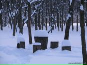 Олег Скуйбіда фотография #35 (источник - https://vk.com/id41536667)