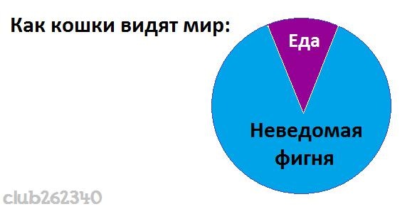№8, Алексей Рожко, 37 лет, Москва №8, Алексей Рожко, 37 лет, Москва
