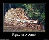 Сергій Шелестюк фотография #23 (источник - https://vk.com/id48103291)