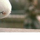 Інна Лепська фотография #34 (источник - https://vk.com/id44707728)