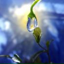 Фотография Цеханович Никита