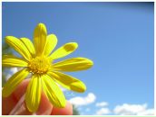 Фотография Петкевич Натальи