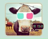 Фотография Ilina Anna