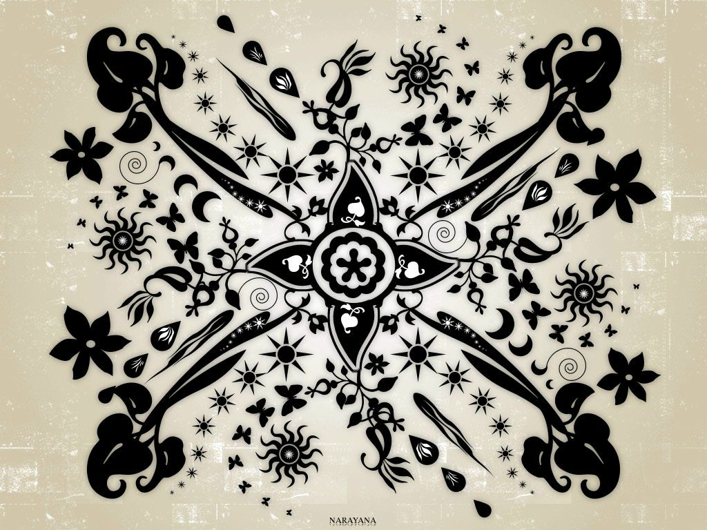 Mark Dark фотография #49