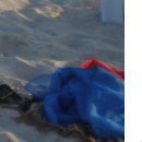 Діана Король фотография #10 (источник - https://vk.com/id53412183)