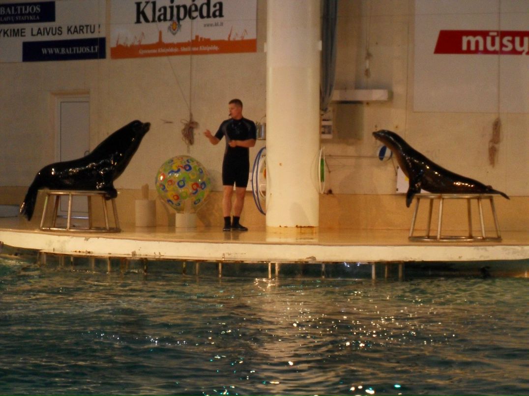 Дмитрий Козел фотография #43