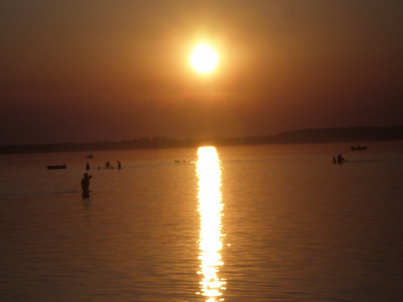 Рома Рогула фотография #29