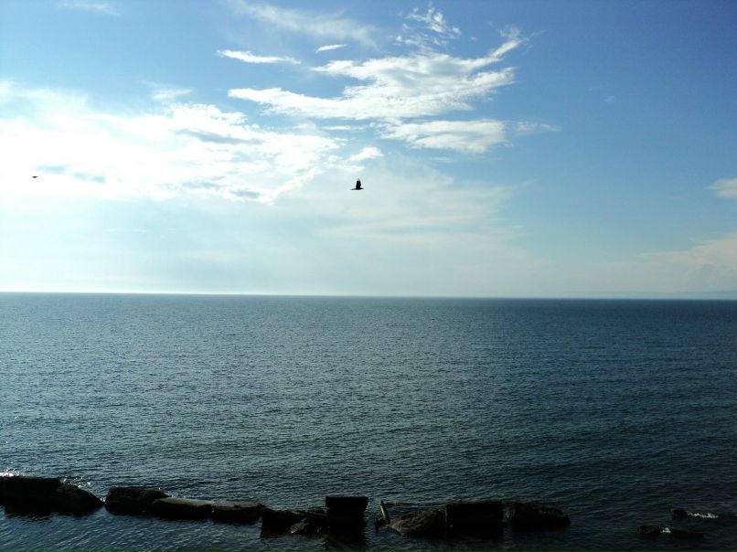 Наталья Д фотография #22