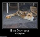 Олег Андрейців фотография #13 (источник - https://vk.com/id113450698)