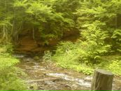 Юрій Мішуровський фотография #40 (источник - https://vk.com/id36709363)