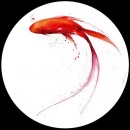 Ксенія Чебіна фотография #35 (источник - https://vk.com/id112314280)