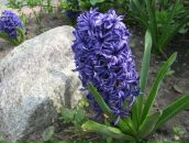 Світлана Чухій фотография #42 (источник - https://vk.com/id52486661)