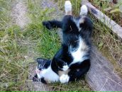 Фотография Шиковой Светланы