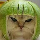 Фотография Манджиева Айса