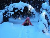 Антон Вшивков фотография #26 (источник - https://vk.com/id9869231)