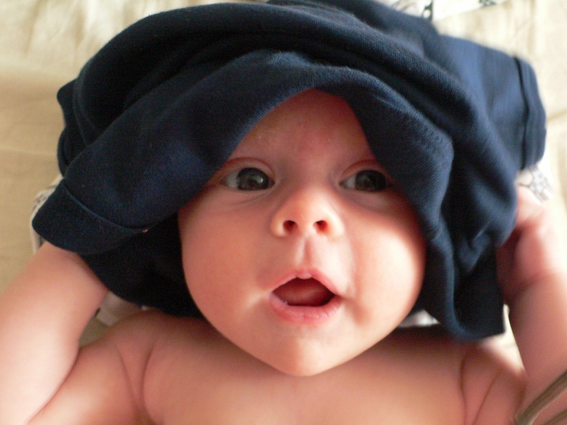 Thomas Devine фотография #12