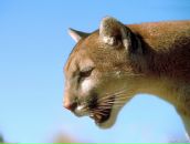 Фотография Филипповой Василины