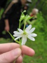 Фотография Бражниковой Марины