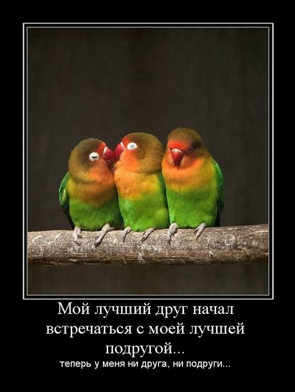 Оля Олейник фотография #17