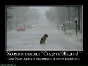 Андрей Лермонтов фотография #35 (источник - https://vk.com/id3879905)