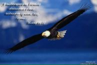 Фотография Бортникова Сергея