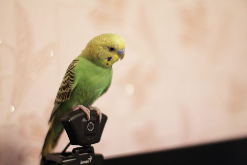 Алена Короткова фотография #1