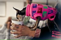 Ірина Яблонська фотография #34 (источник - https://vk.com/id7229485)