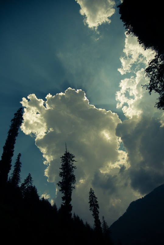 Марина Цукерман фотография #21