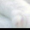 Марія Пятничук фотография #33 (источник - https://vk.com/id84135162)