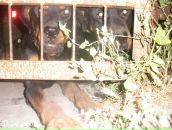 Виктор Данилов фотография #5 (источник - https://vk.com/id21803119)