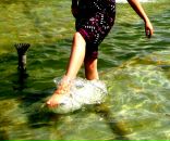 Фотография Федоровой Настасьи