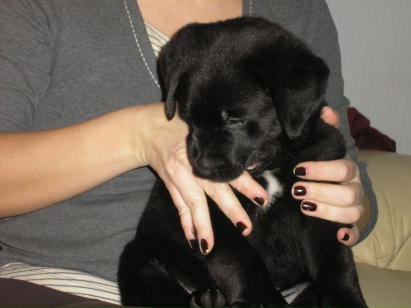 Егор Хованский фотография #18