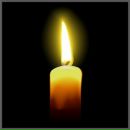 Фотография Шевлекова Алексея