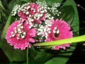 Фотография Пластининой Галины