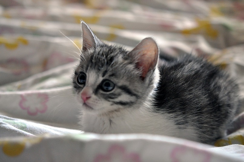 Andre Andre фотография #35