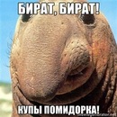 Свєтка Борродач фотография #1