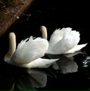 Фотография Давыдовой Розы