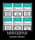 Димас Син фотография #46 (источник - https://vk.com/id637172)