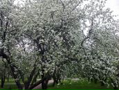 Фотография Журавлёва Павла