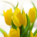 Юлюся Сем-Янів фотография #47 (источник - https://vk.com/id166936484)